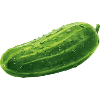 Concombre