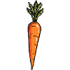 Carrot