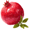 Pomegranate