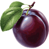 Plum
