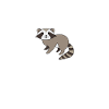 Joke Racoon Puke Collection T-Shirt
