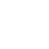 2025 Linie
