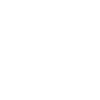 2025 year