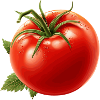 Tomate