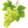 green grapes