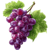 red grapes