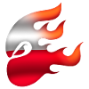 Flag of Poland - Poland - Ninja