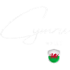 Wales, minimalist sleek design