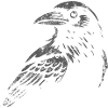Black Raven - Hello Darkness - Mythology