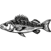 Sea Bass - Angler - Gift