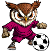 Eulen Fussball / Fussballer Eule