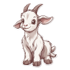 Goat