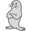 Funny seal with crossed arms