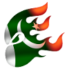 Drapeau du Pakistan - Pakistan - Ninja
