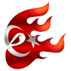 Flag of Turkey - Turkey - Ninja