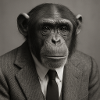 Elegant monkey in suit