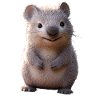 Wombat Australie Marsupial Mignon Wombat