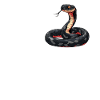Serpents Serpent