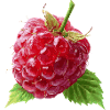 Raspberry