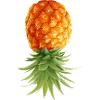 Pineapple is upside down