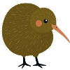 Kiwi bird
