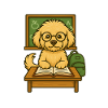 Maltipoo Skolstart - Rolig Hund Professor