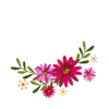 Butterfly With Flowers