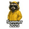 Raccoon Summer 2025