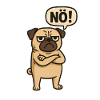 No! Funny Pug Dog Statement