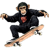 Monkey Skater / Skateboard Monkey