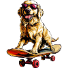 Skateboard Golden Retriever