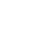 Brain & AI
