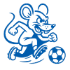 The ball mice play football