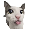 Mlem pixel effect