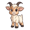 Goat
