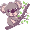 happy koala bear koala