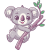 Koala heureux ours koala