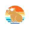 Capibara Capybara
