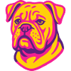 Boxer Dog Portrait