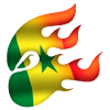 Drapeau du Sénégal - Sénégal - Ninja