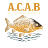 Alla karpar är vackra – Karp