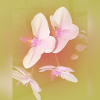 Flowers for You