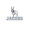 I love my Jacob sheep