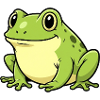 Humorous frog with big eyes
