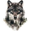 Forêt des loups