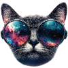 Cat Space Glasses