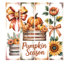 Kürbis Saison Herbstdeko Shirt