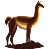 Guanaco