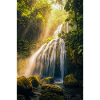 Sunlit Cascade in Rainforest