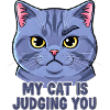 Cat motto with a funny face